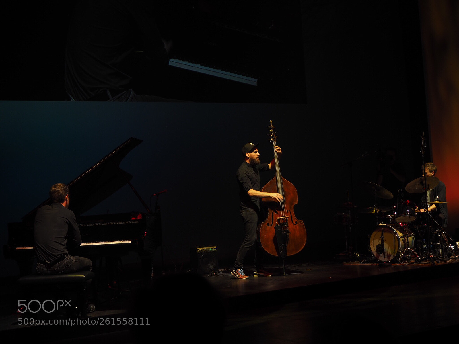 Olympus OM-D E-M10 II sample photo. Bass man  photography