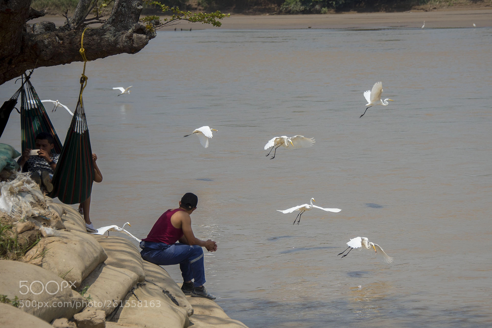 Nikon D750 sample photo. Contemplando el paisaje photography