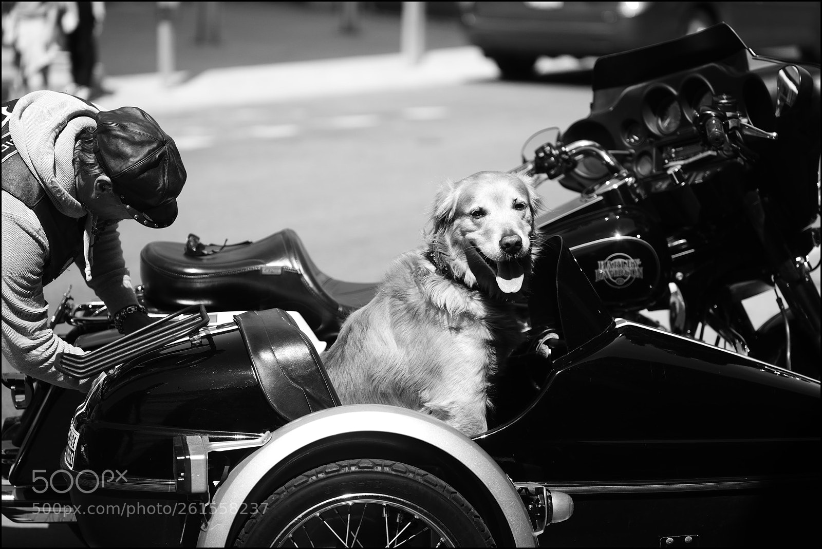 Nikon D610 sample photo. Riding in style # photography