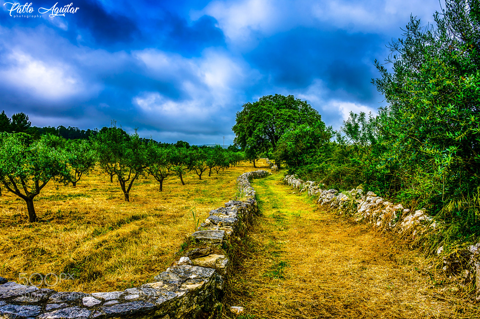 Nikon D7200 sample photo. Via sacra - fatima photography