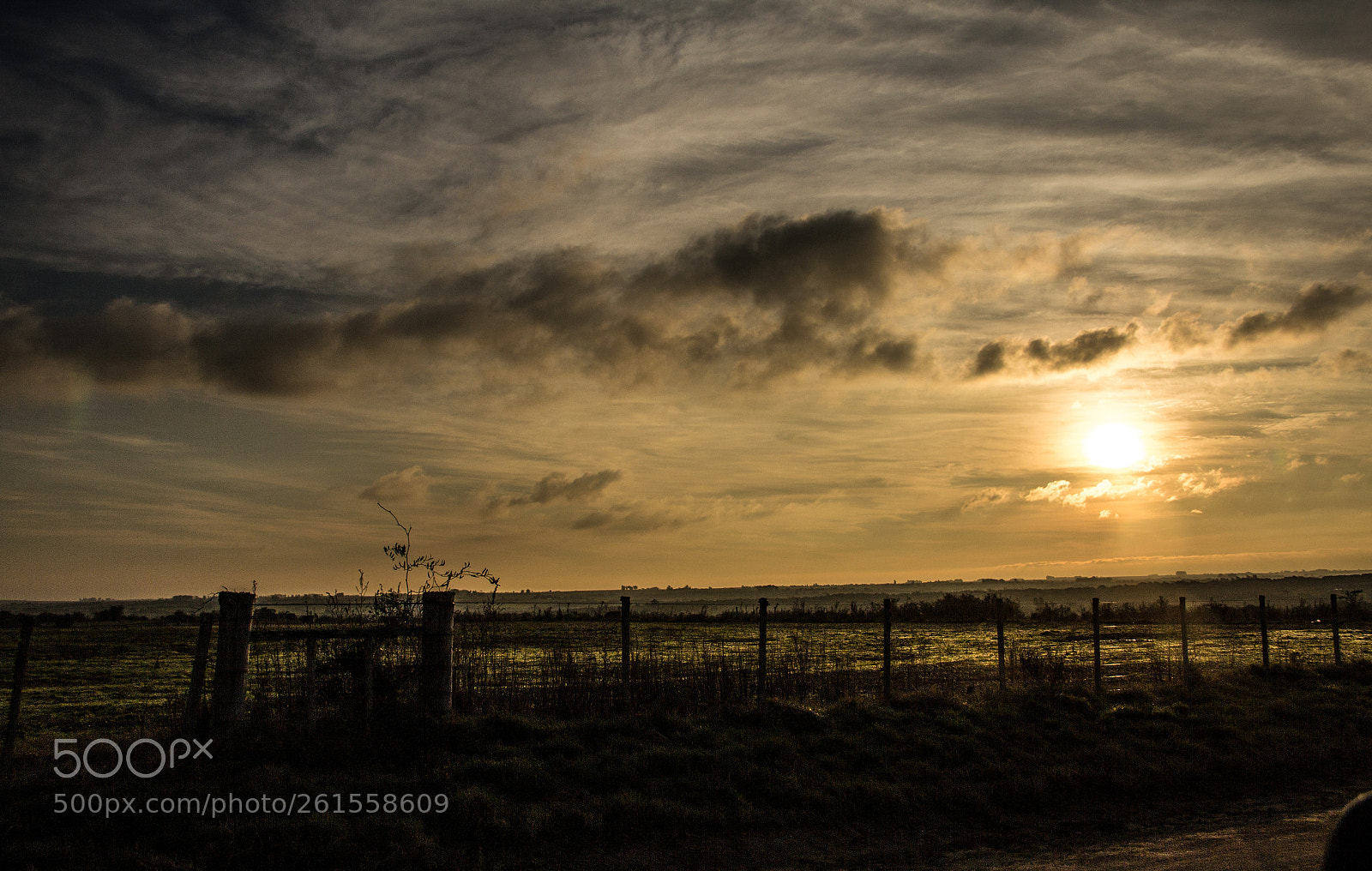 Canon EOS 60D sample photo. Frio atarceder photography