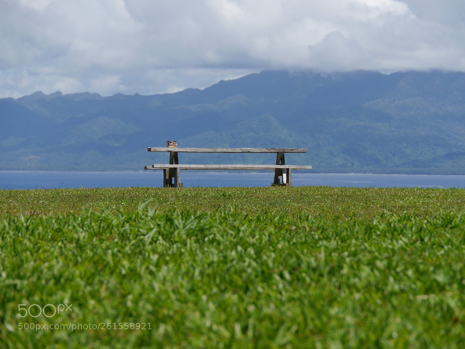 Panasonic Lumix DMC-G6 sample photo. Untitled photography