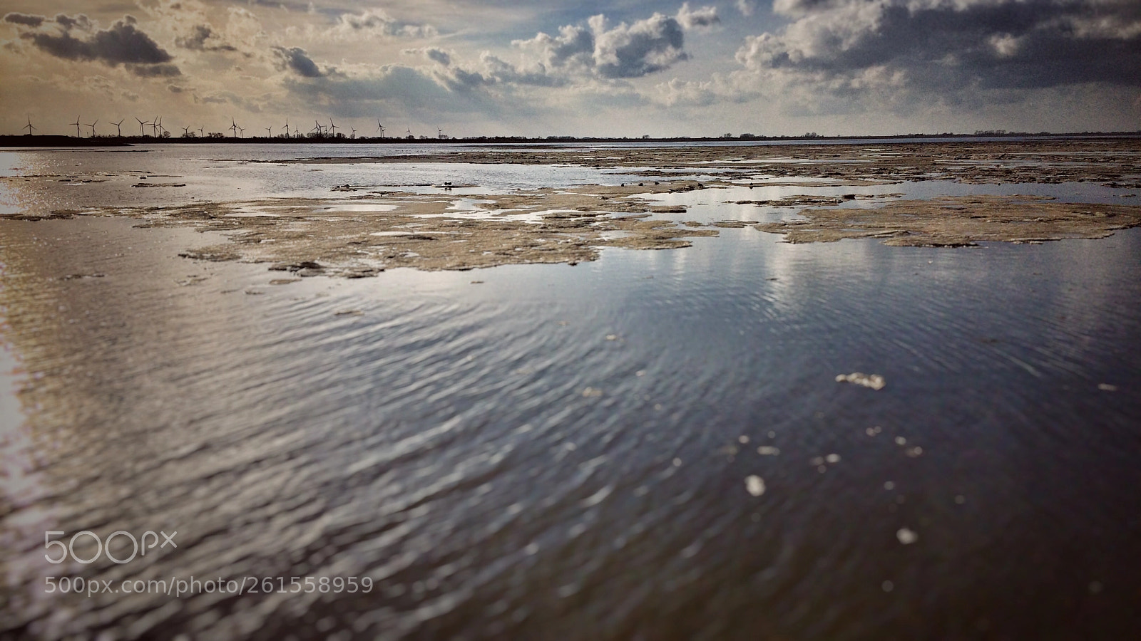 Apple iPhone 5s sample photo. Jadebusen photography