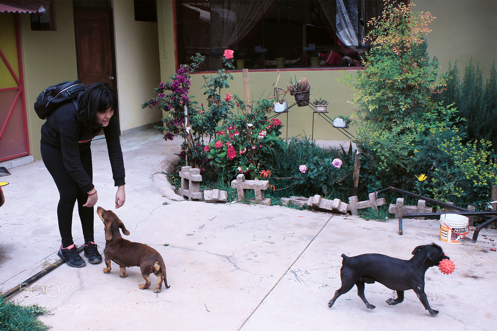 Canon EOS 50D sample photo. Cusco photography