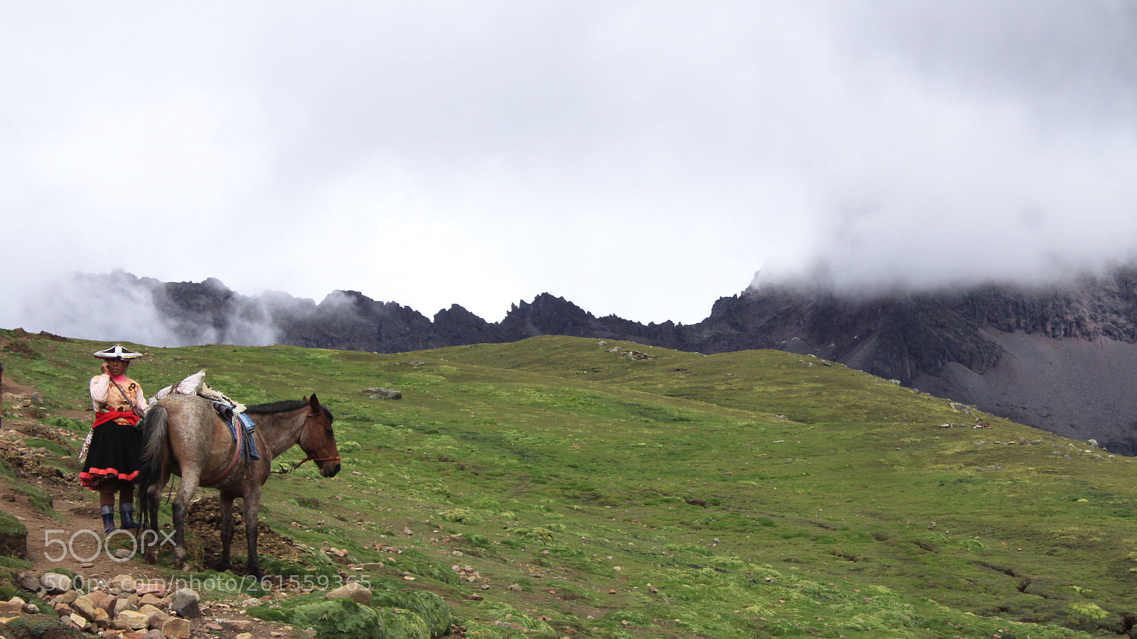 Canon EOS 50D sample photo. Mist photography