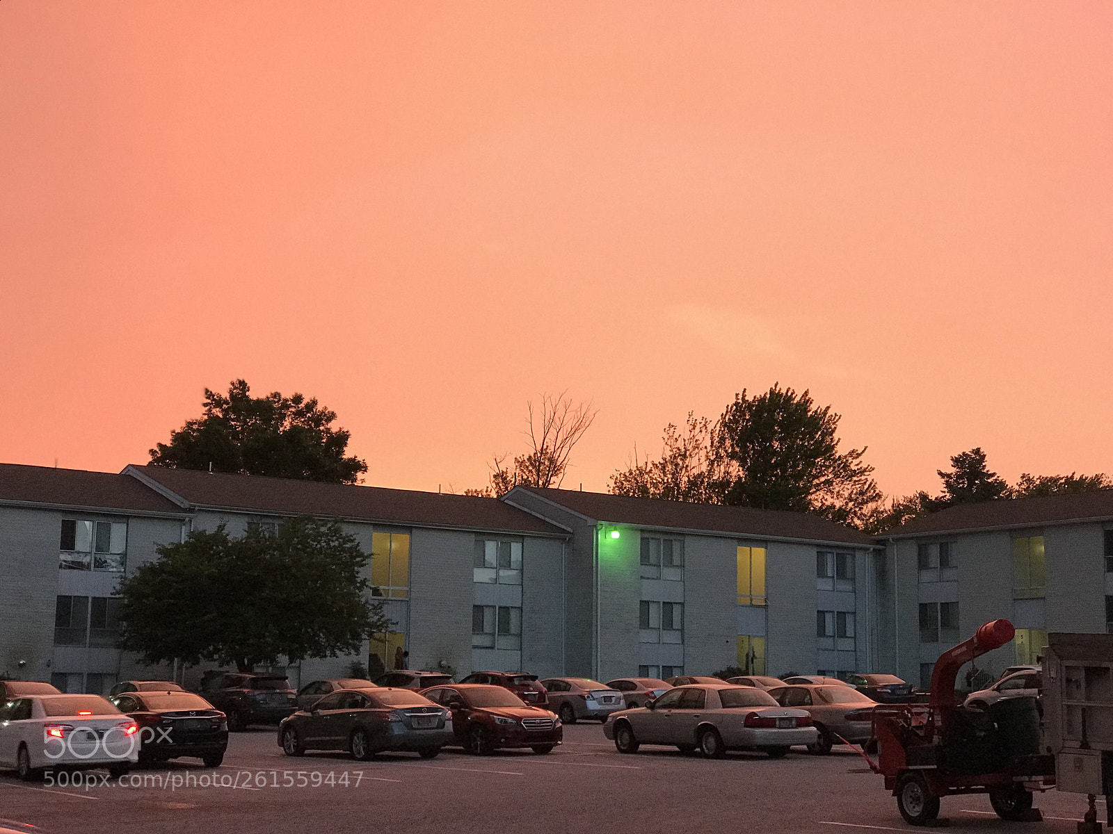 Apple iPhone 7 Plus sample photo. Natural lighting- pink sky photography