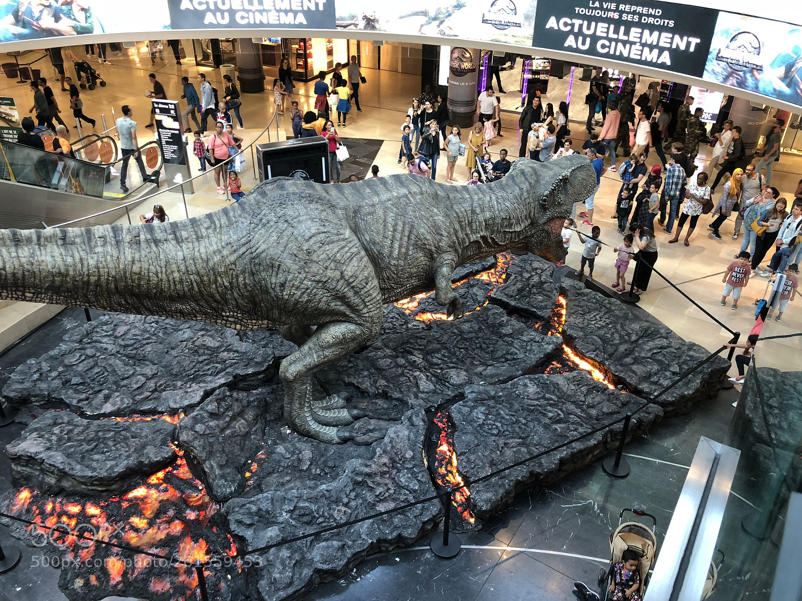 Apple iPhone X sample photo. T-rex photography