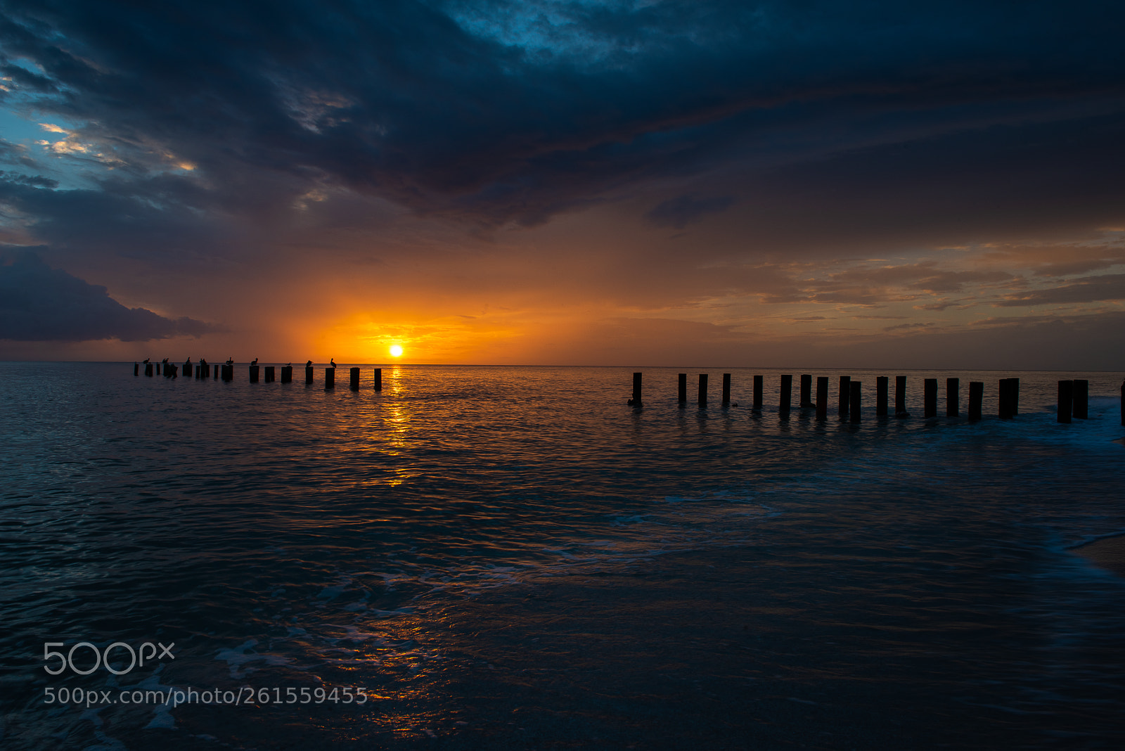 Nikon D810 sample photo. Naples old pier pilings photography