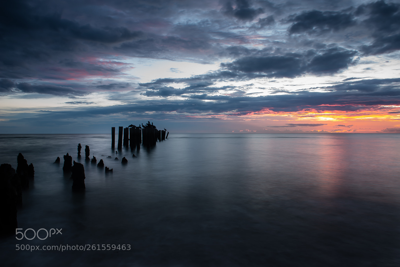 Nikon D810 sample photo. Naples old pier pilings photography
