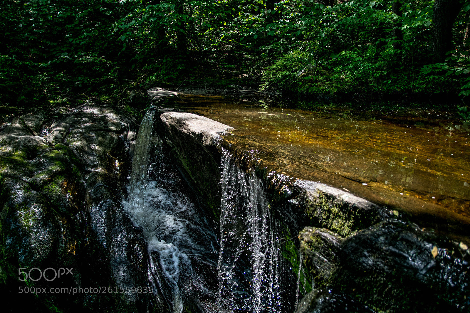 Nikon D5300 sample photo. Untitled photography