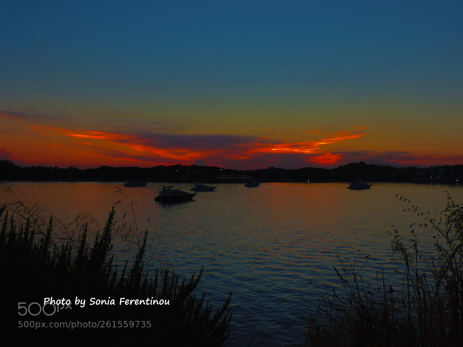 Nikon Coolpix P520 sample photo. Heavenly palette... photography