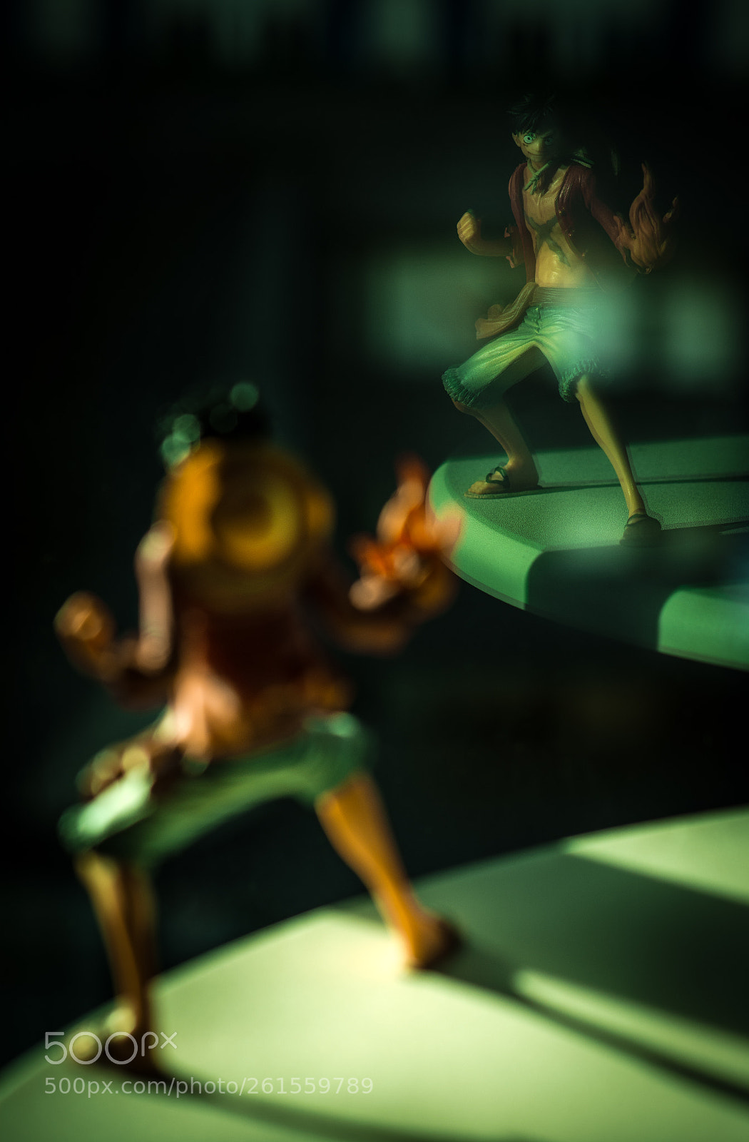 Nikon D7200 sample photo. Fight your self photography