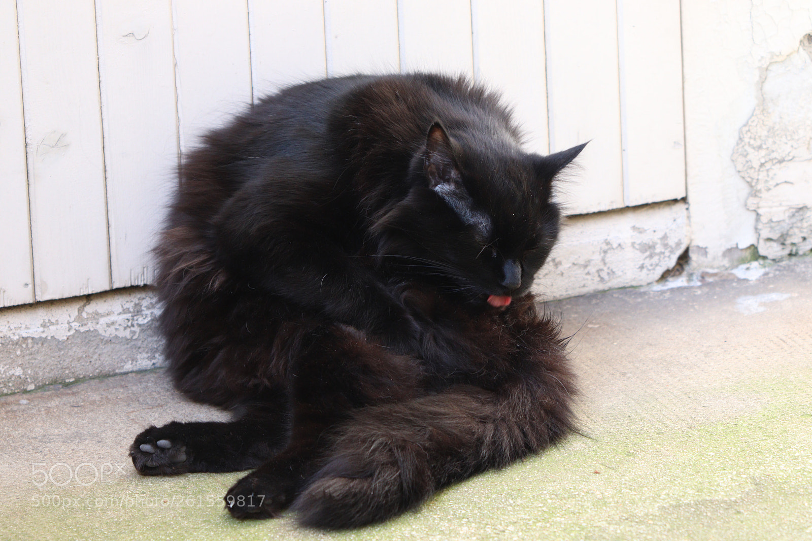 Canon EOS 77D (EOS 9000D / EOS 770D) sample photo. Untitled photography