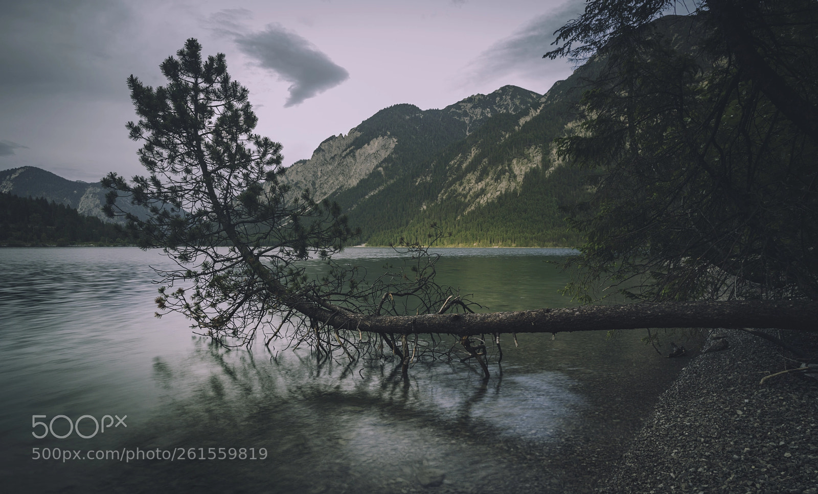 Canon EOS 5D Mark II sample photo. Plansee photography