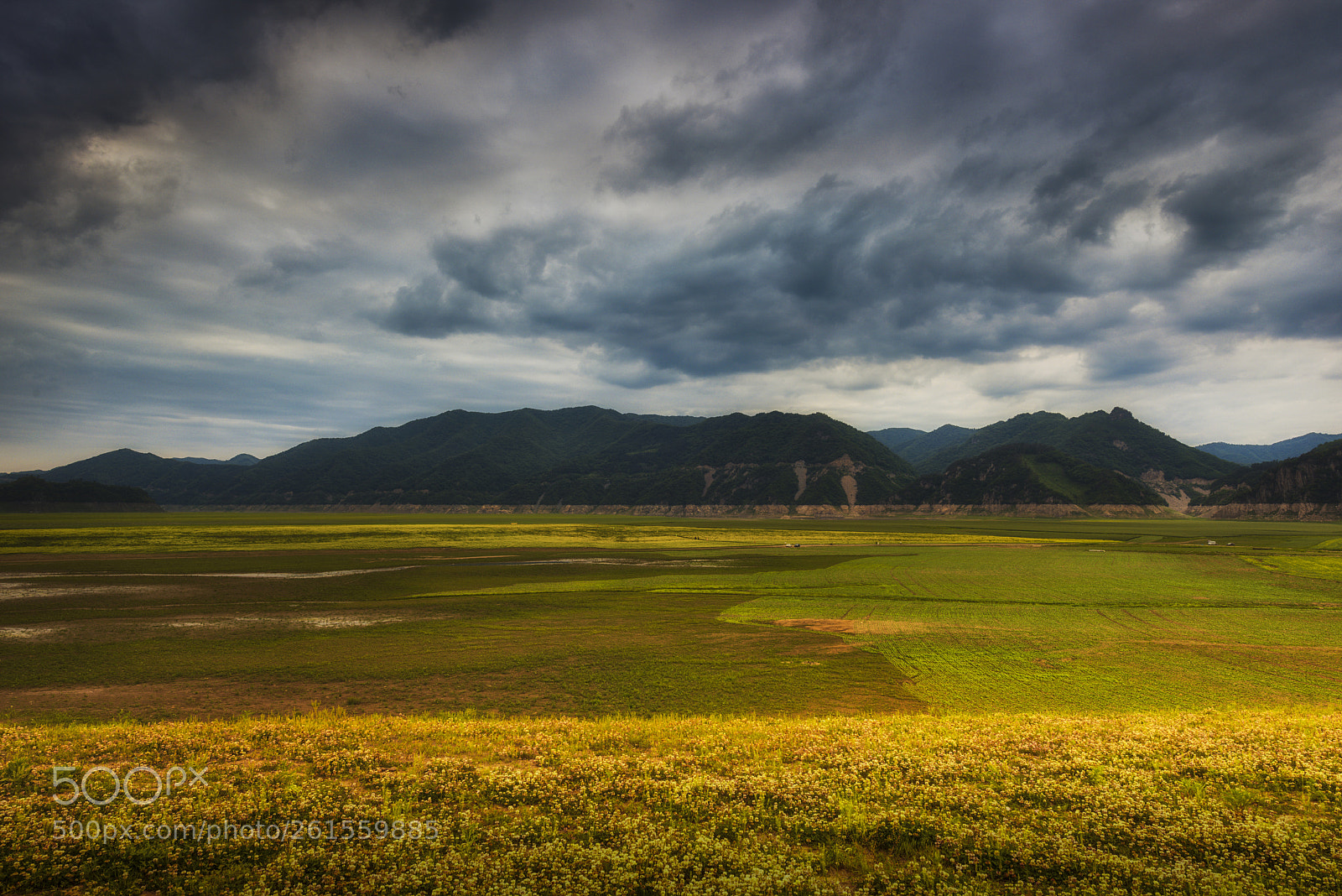 Nikon D810 sample photo. 暴雨来临前的宁静 photography