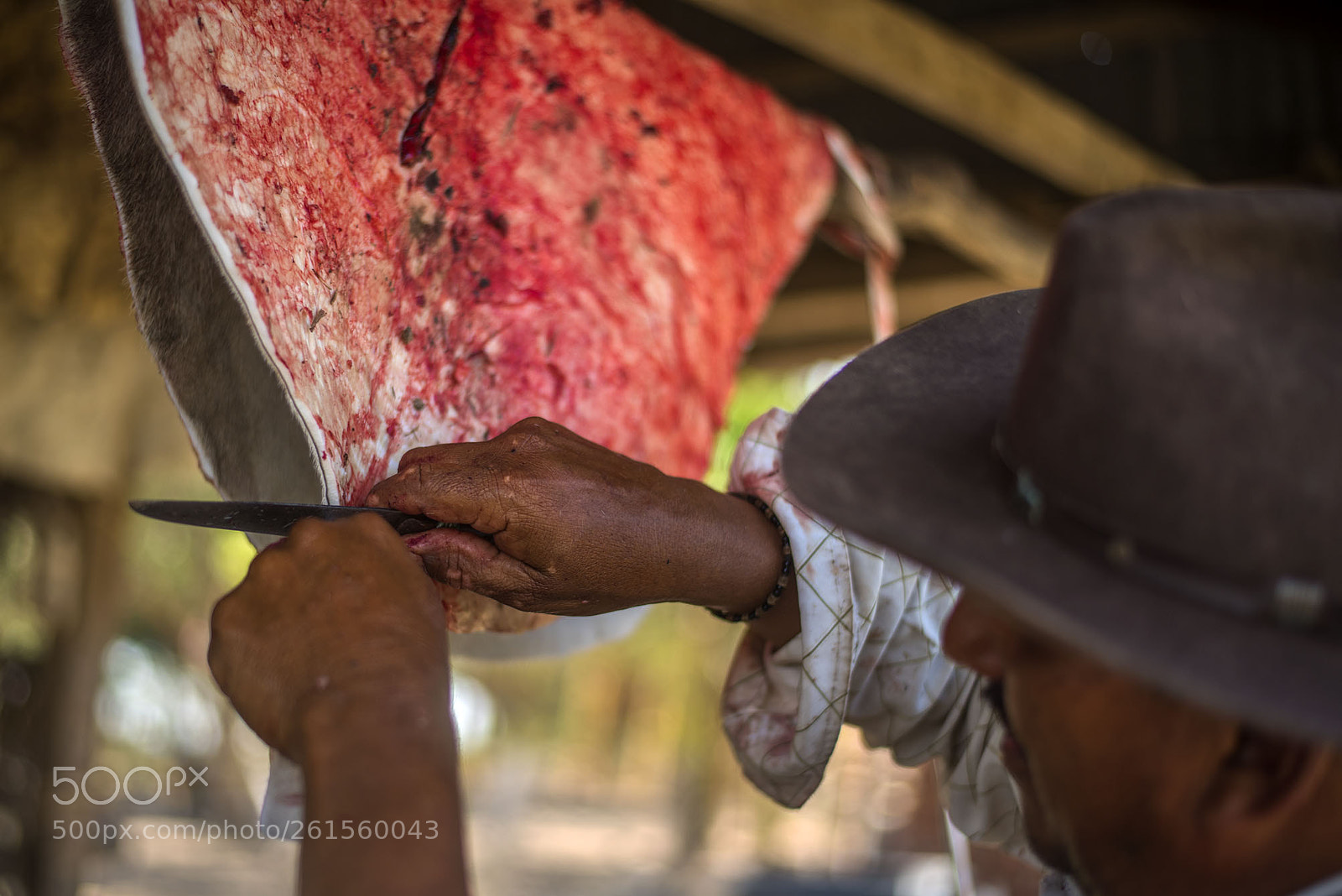 Nikon D750 sample photo. Picando el cuero photography