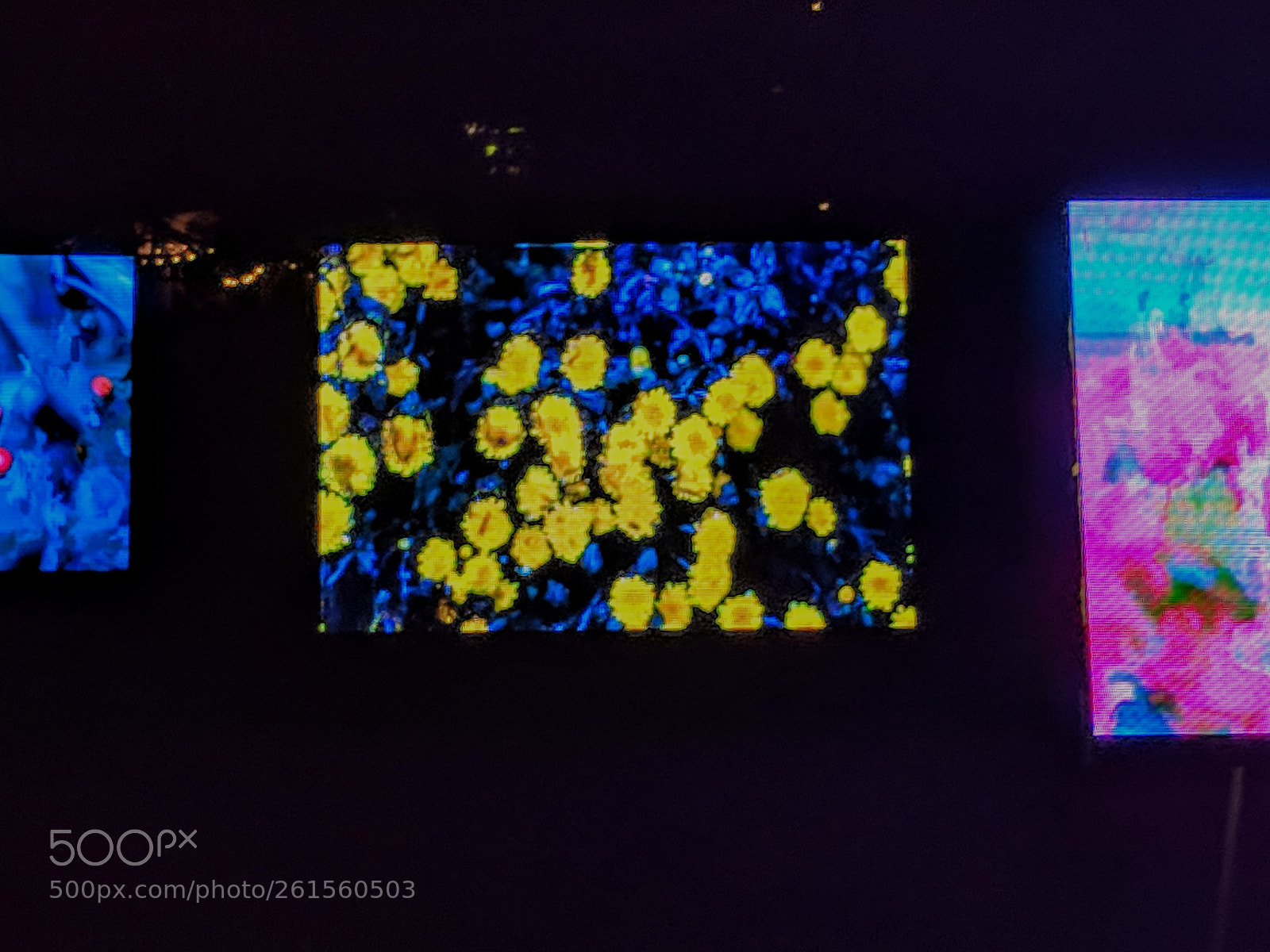 Google Pixel sample photo. Moving canvas photography
