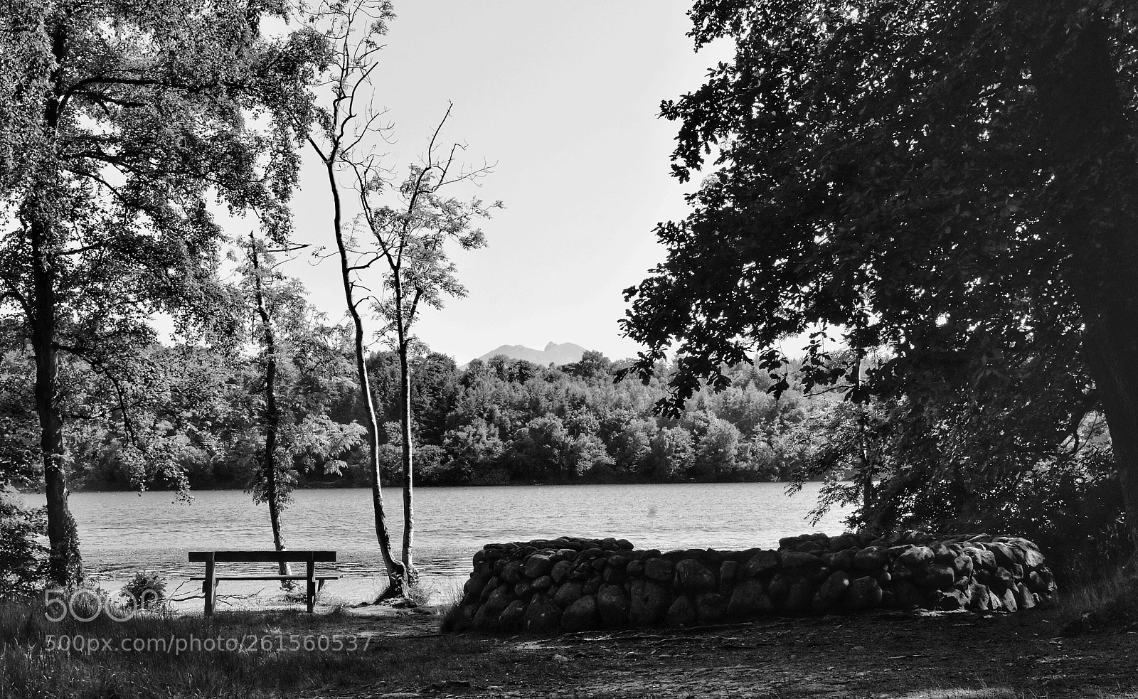 Nikon D3400 sample photo. Untitled photography
