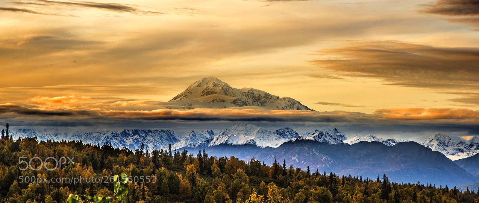 Nikon D810 sample photo. Mt denali,alaska photography