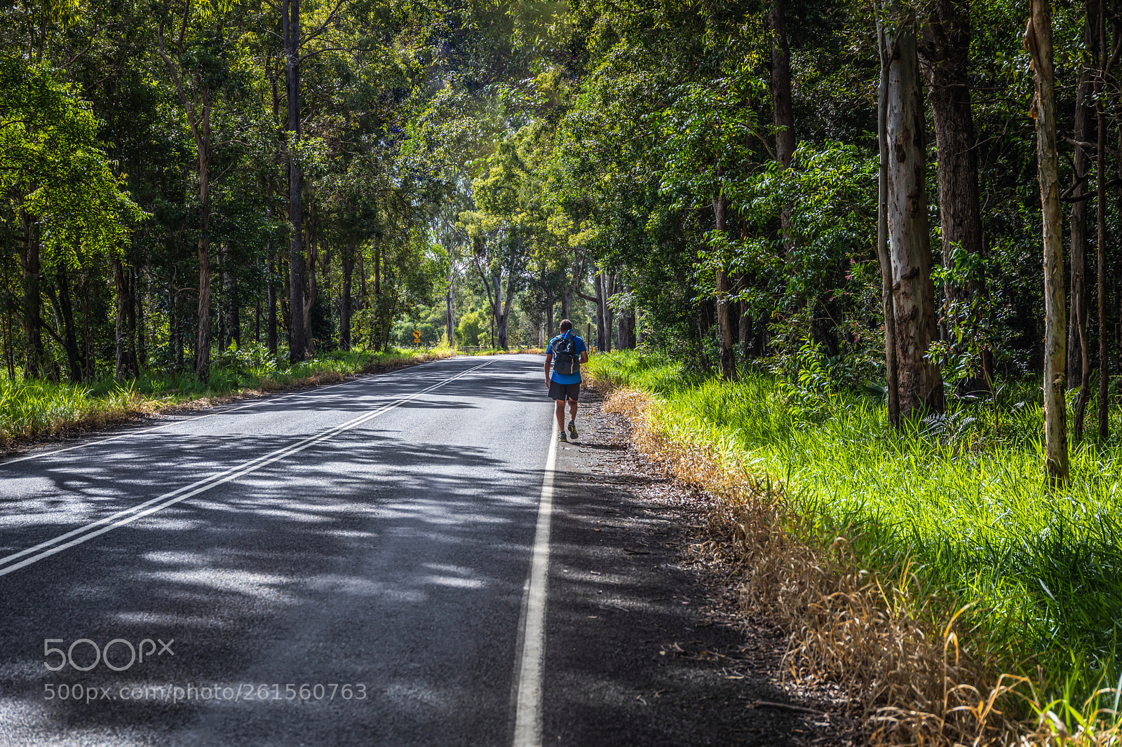 Canon EOS 5D Mark IV sample photo. The longest mile photography