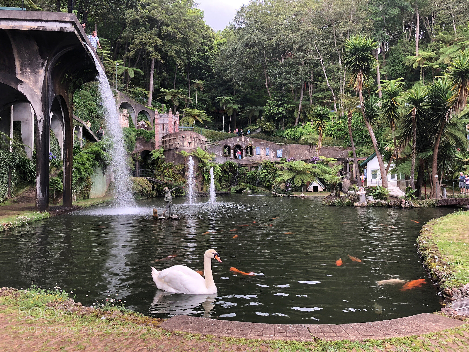 Apple iPhone X sample photo. Jardim tropical garden photography