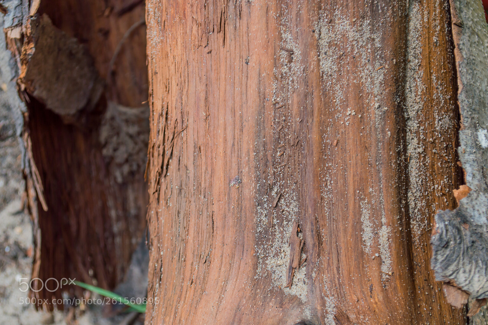 Nikon D3200 sample photo. Untitled photography
