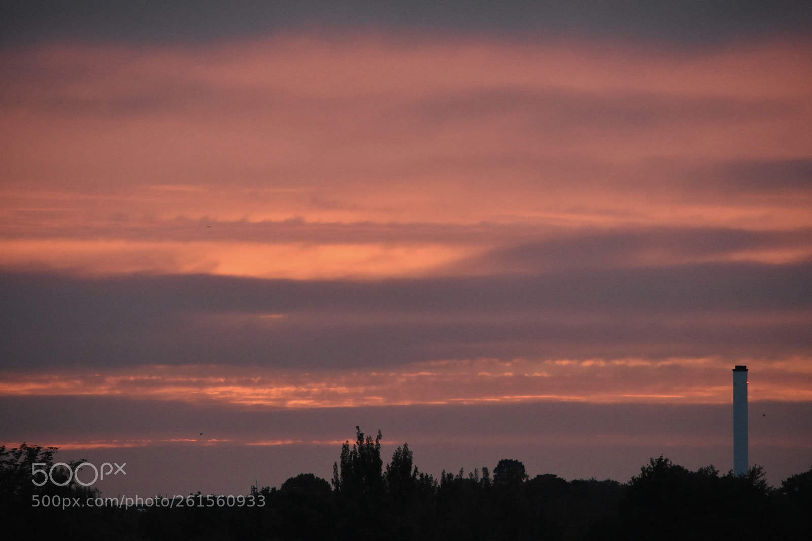 Nikon D3400 sample photo. Untitled photography