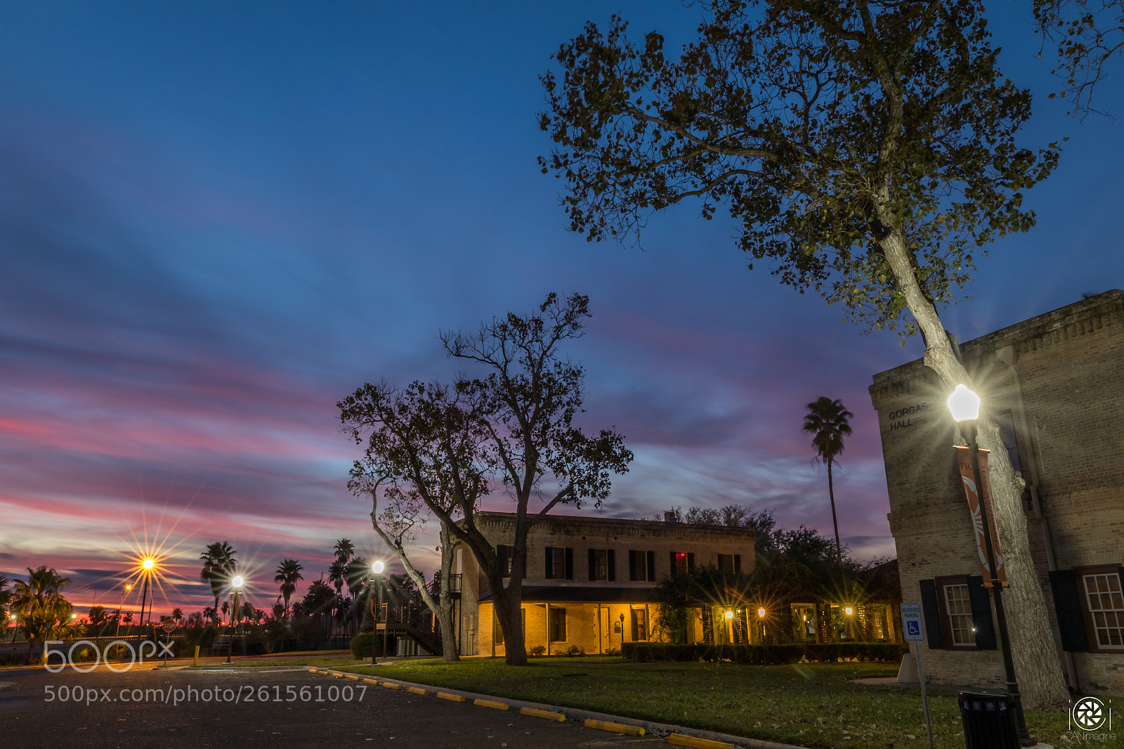 Canon EOS 7D Mark II sample photo. Fort brown photography