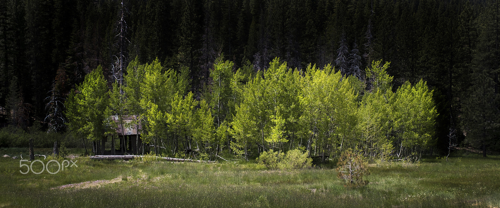 Fujifilm X-Pro1 sample photo. Brockway cabin photography