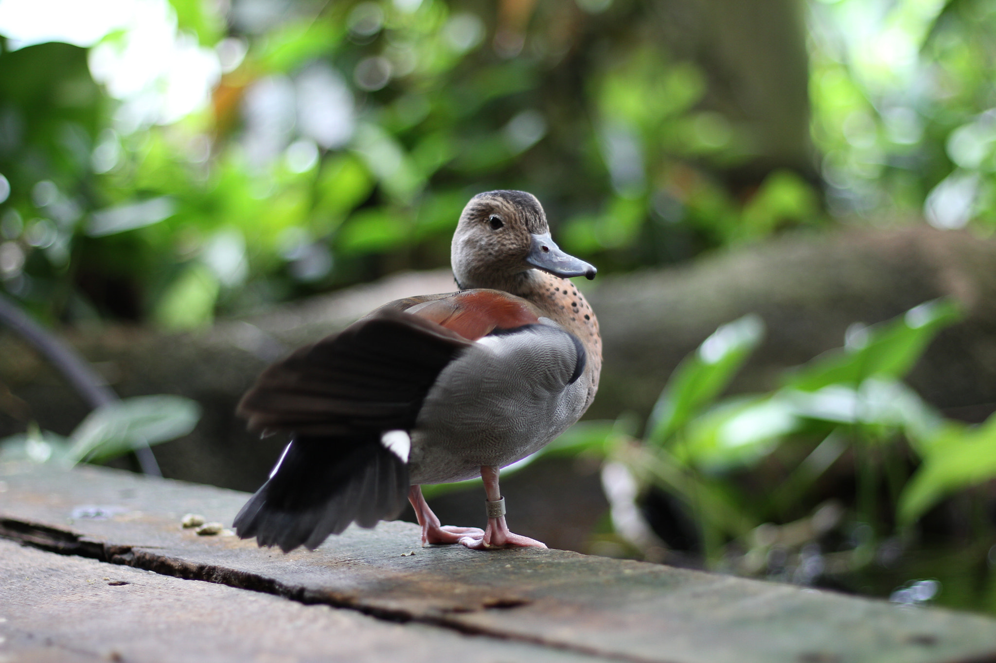 Canon EOS 7D + Canon EF 50mm F1.8 STM sample photo. Img photography
