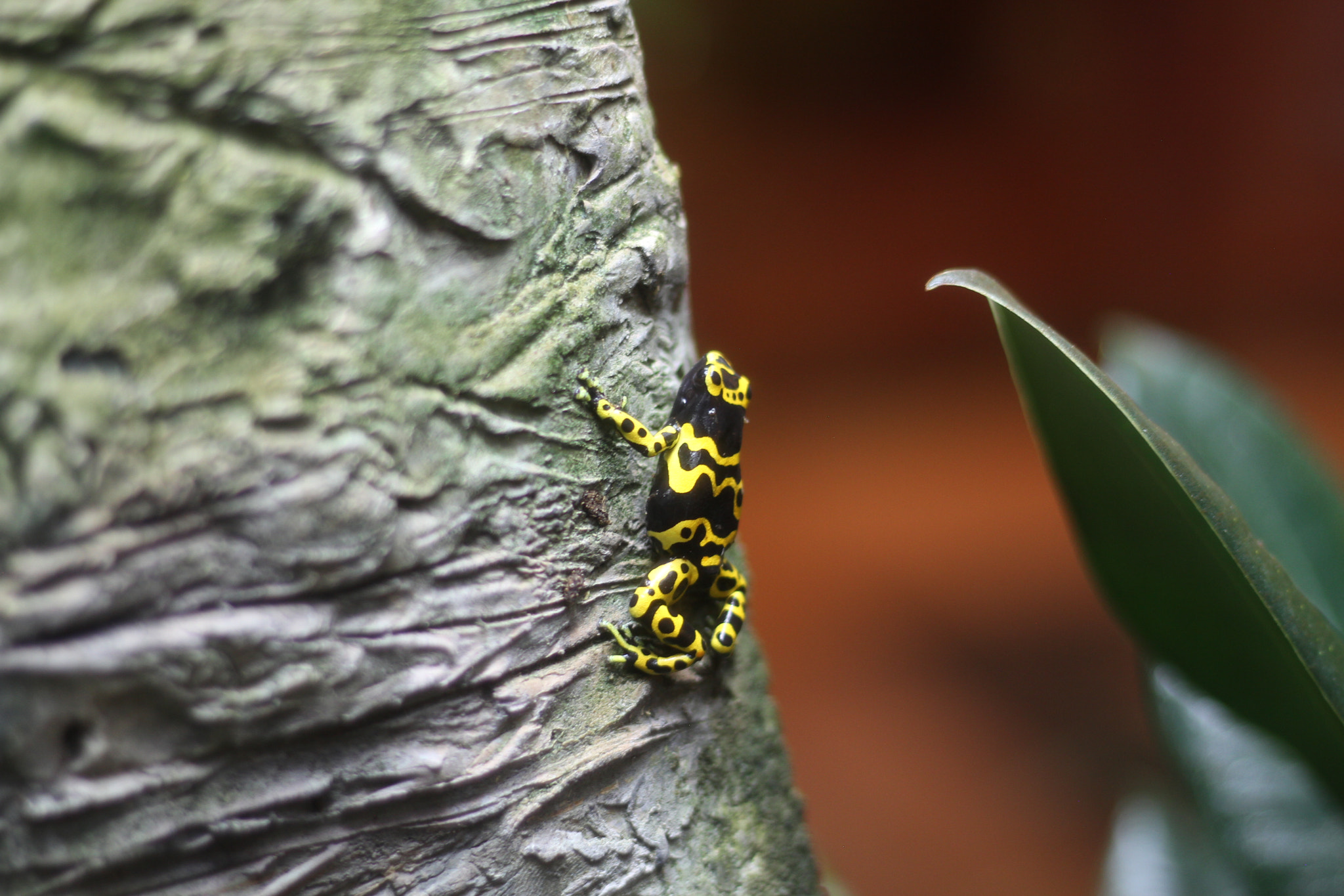 Canon EOS 7D + Canon EF 50mm F1.8 STM sample photo. Img photography