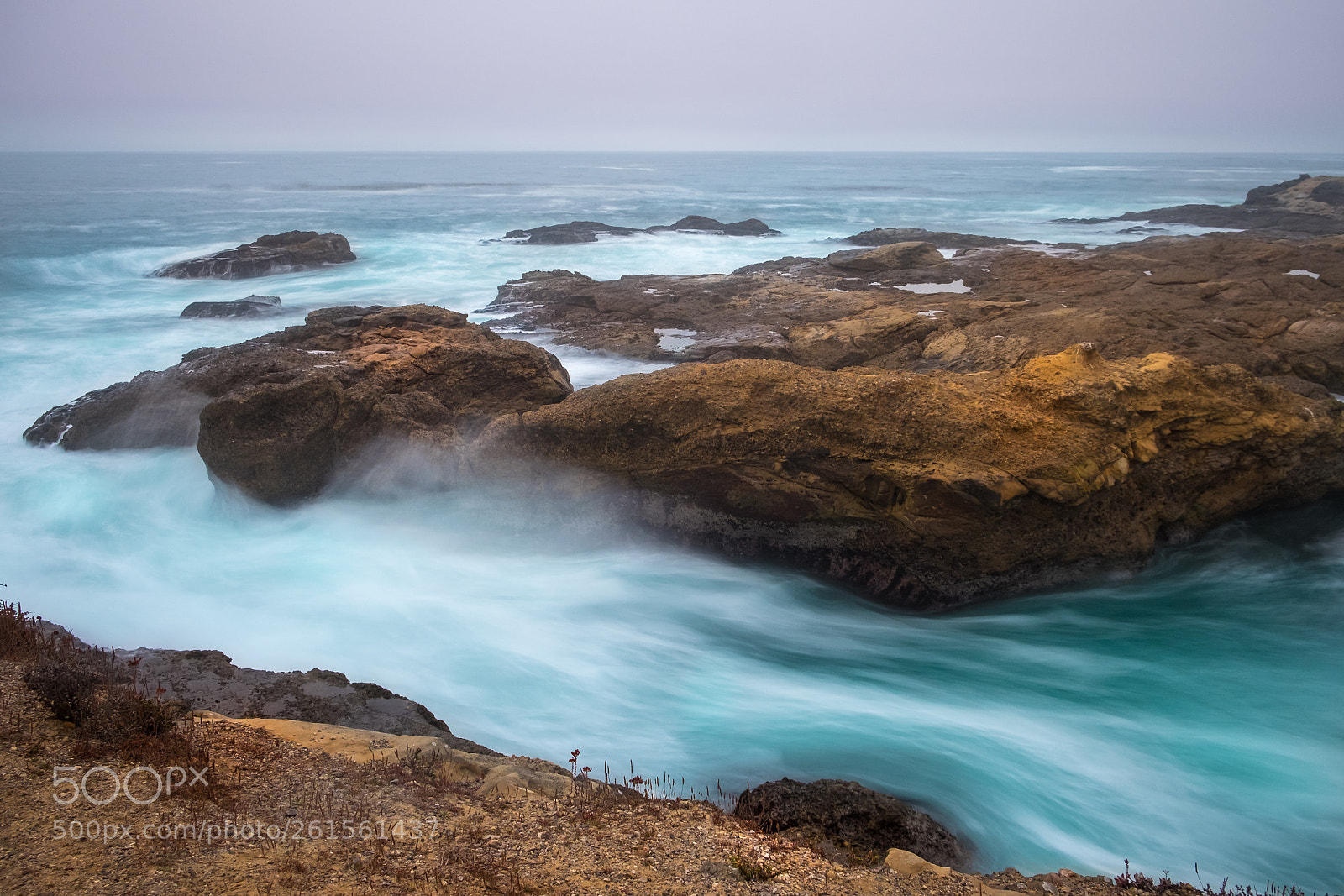 Fujifilm X-T1 sample photo. Point lobos ix photography