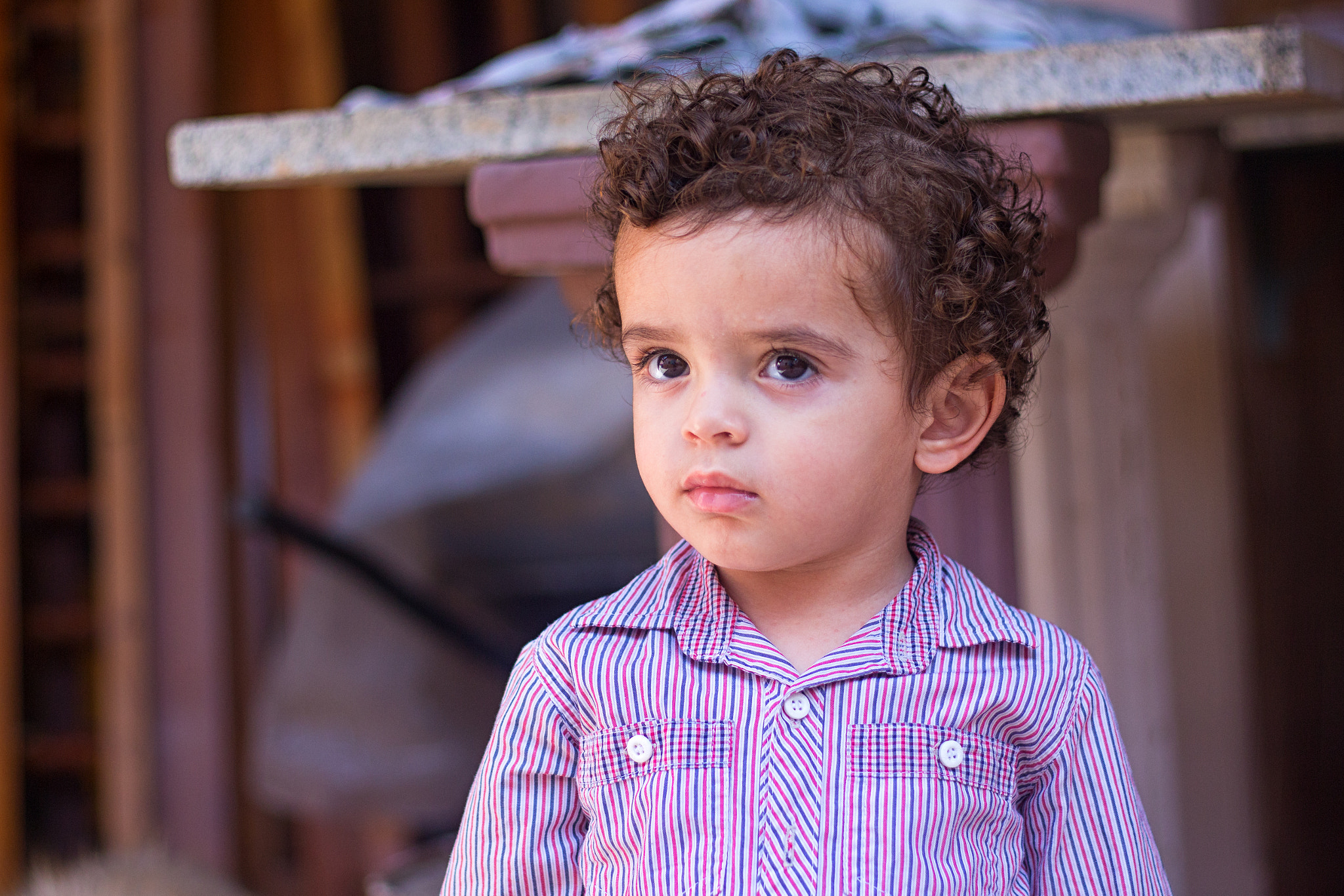 Canon EOS 700D (EOS Rebel T5i / EOS Kiss X7i) sample photo. Davi photography