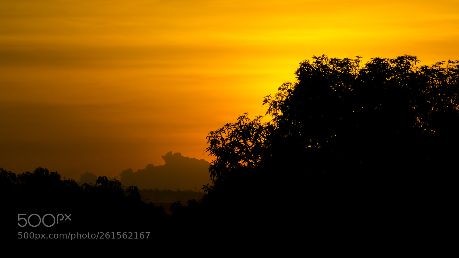 Sony a6000 sample photo. The sky turn orange... photography