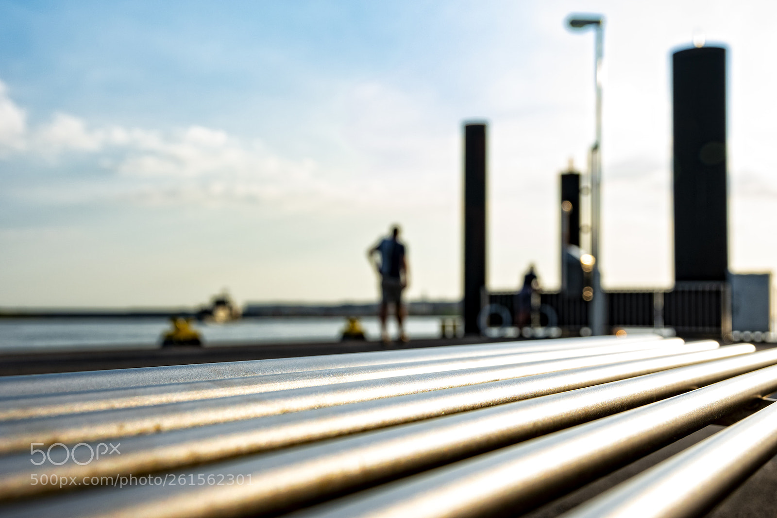 Nikon D5500 sample photo. Bench photography