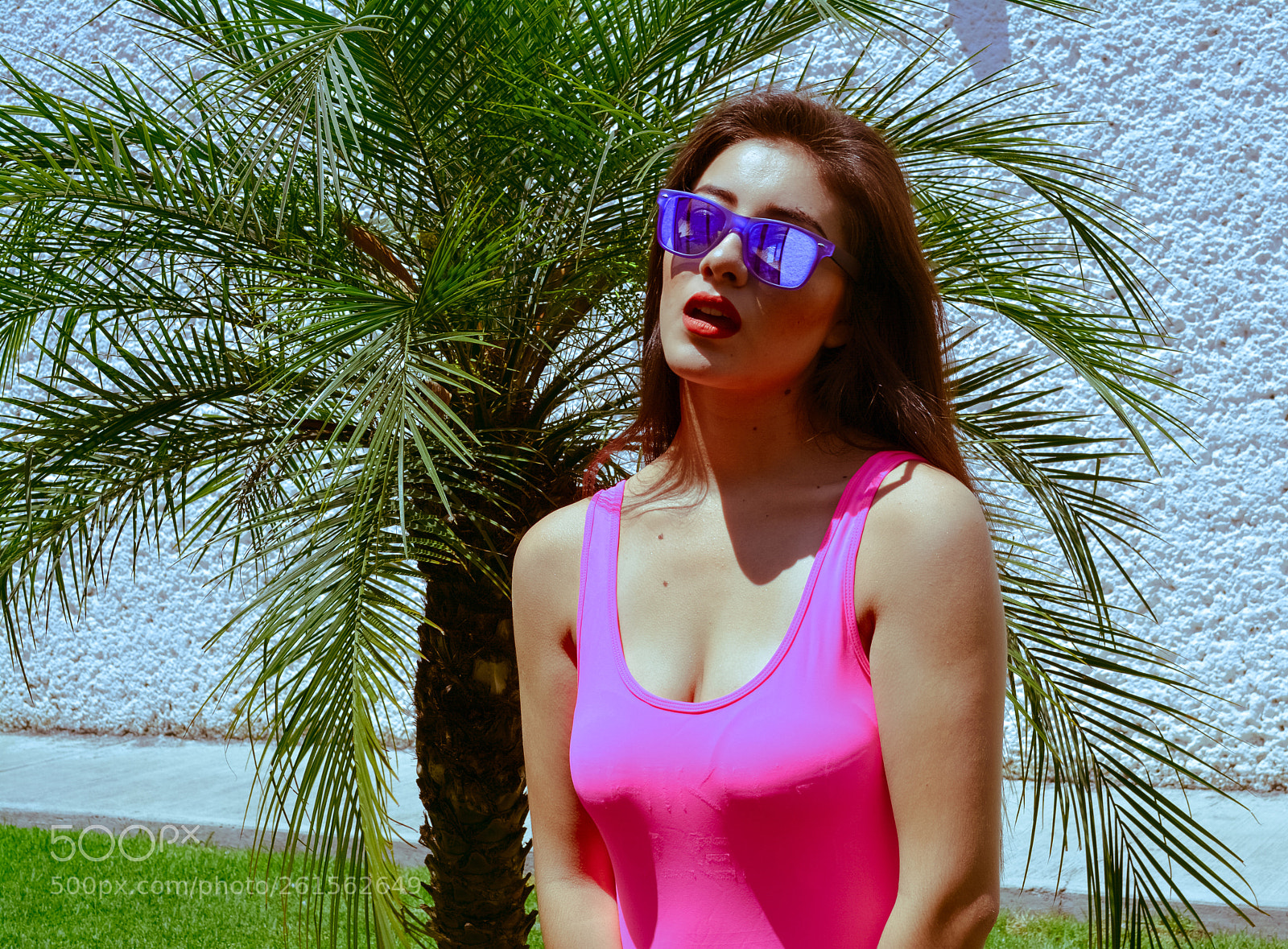 Nikon D5200 sample photo. 15 photography