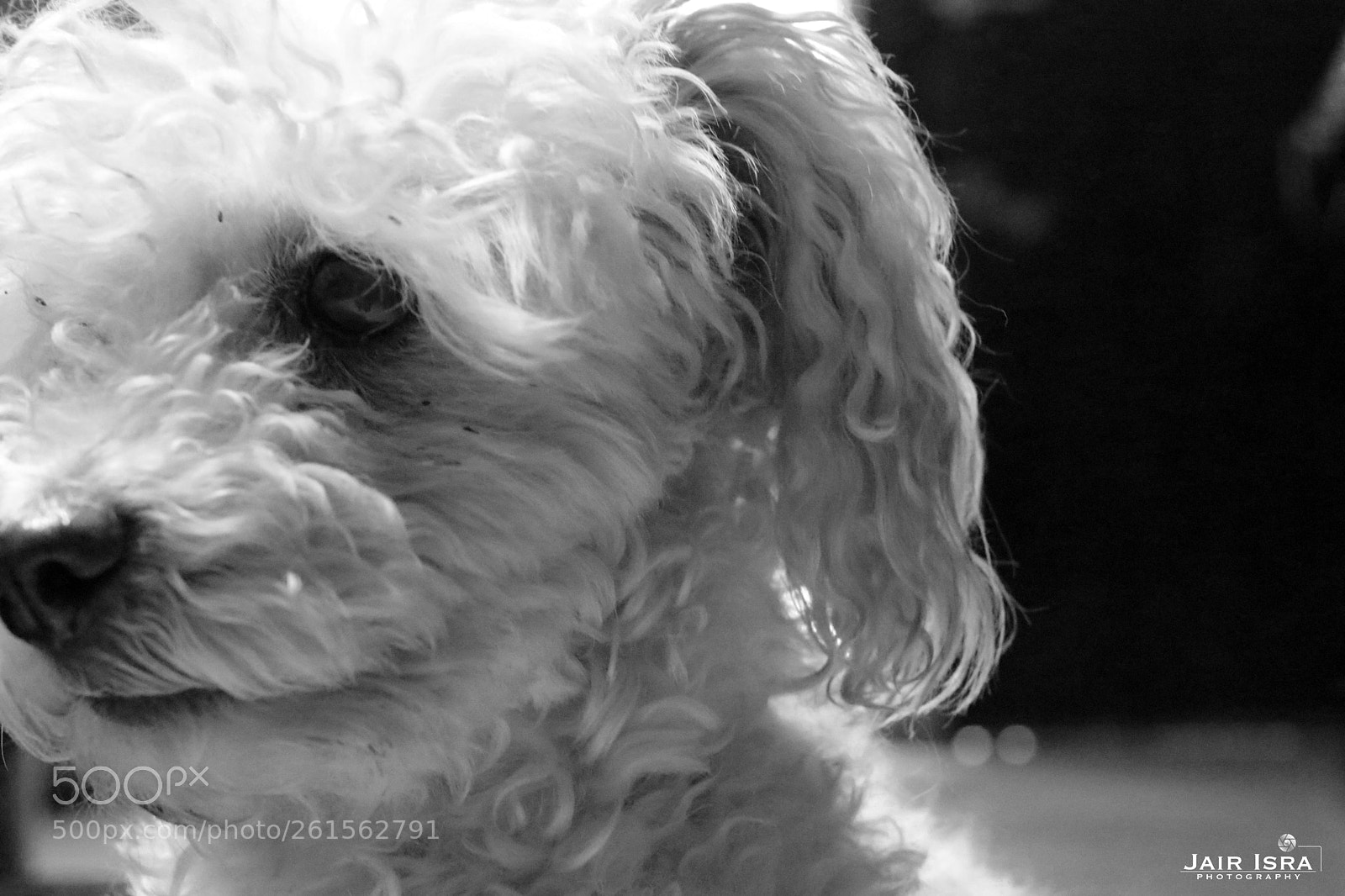 Canon EOS 80D sample photo. Muñecaa photography