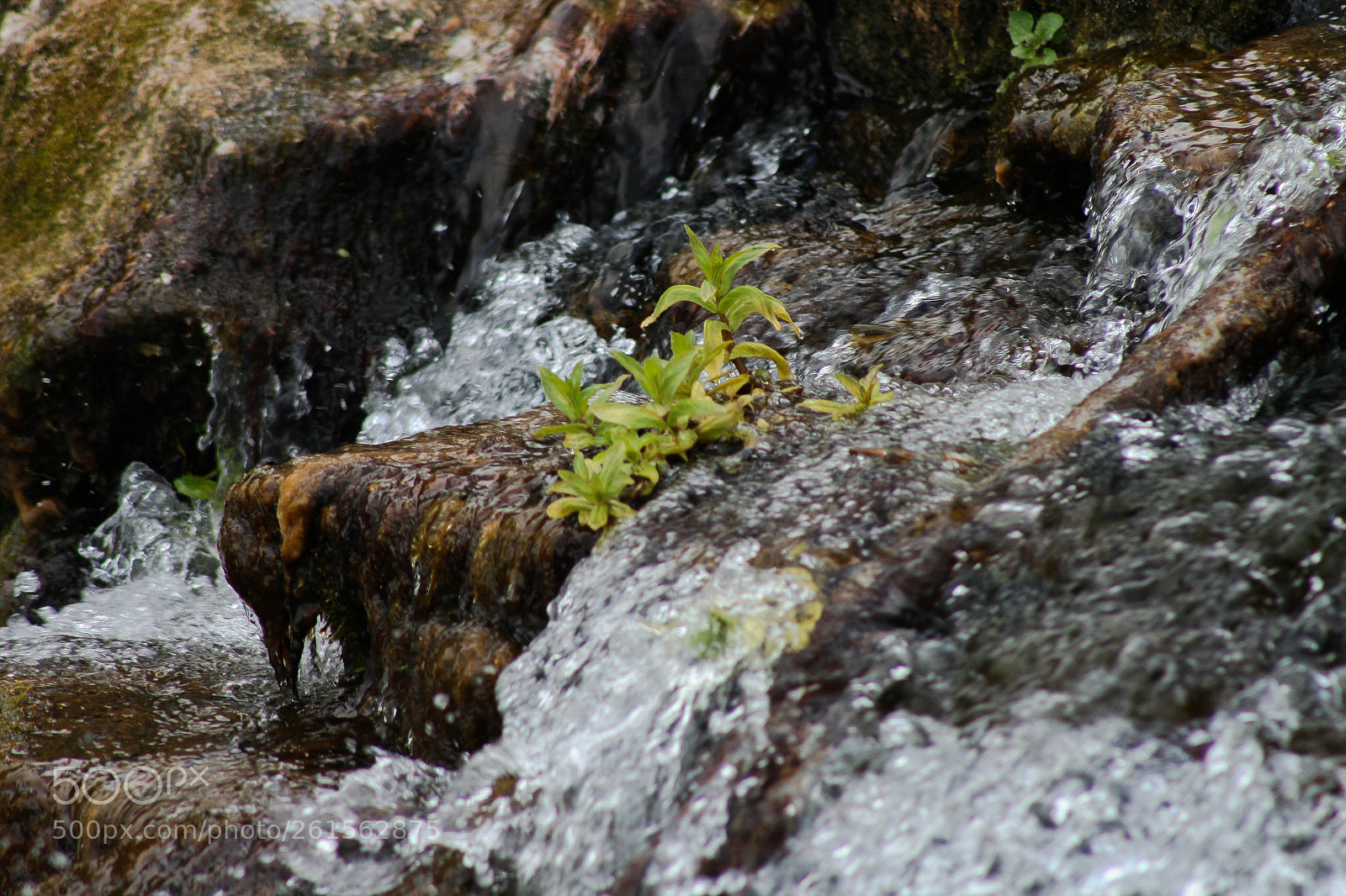 Canon EOS 400D (EOS Digital Rebel XTi / EOS Kiss Digital X) sample photo. Great falls falls photography
