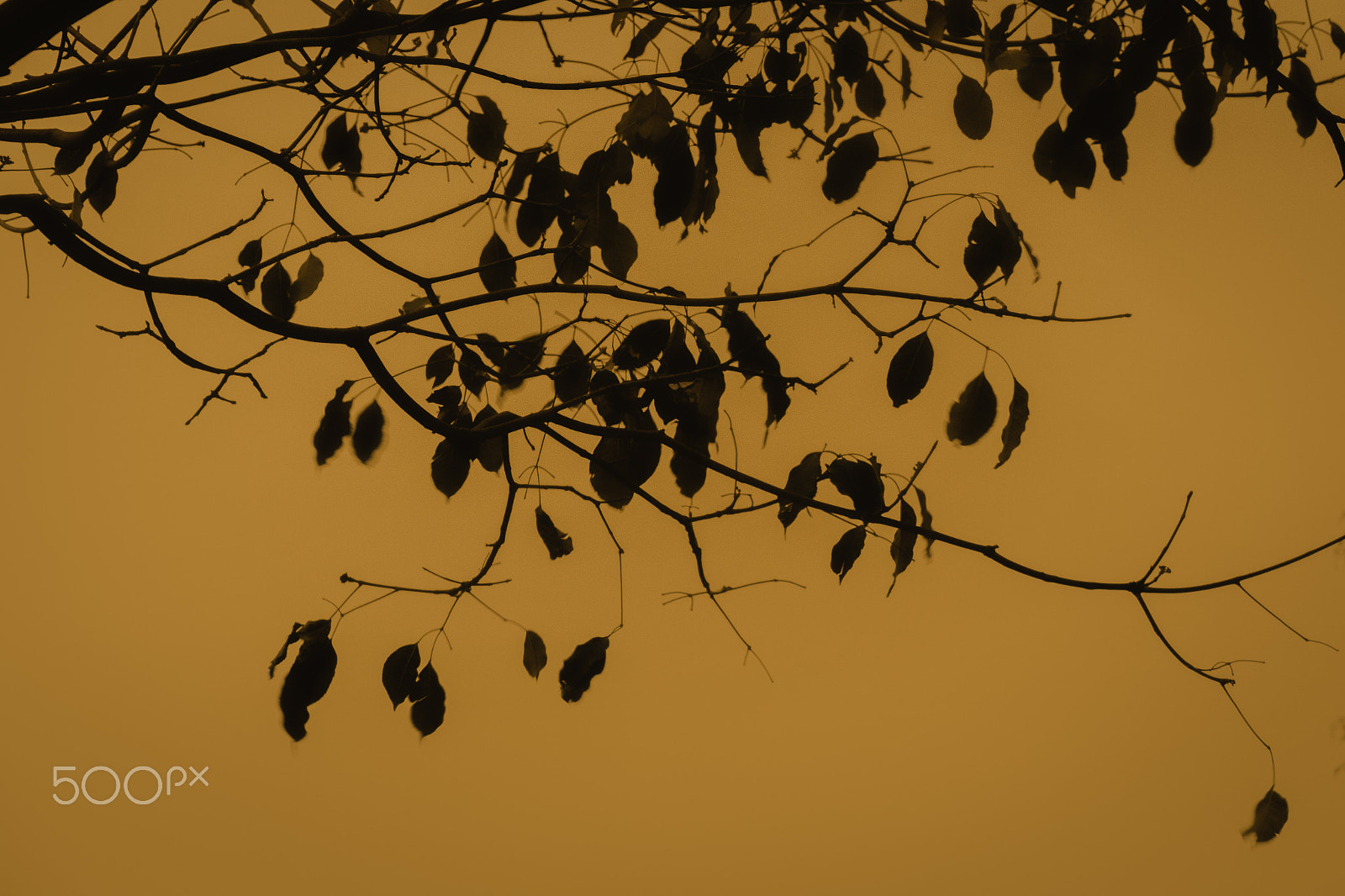 Leica V-Lux (Typ 114) sample photo. The color of winter photography