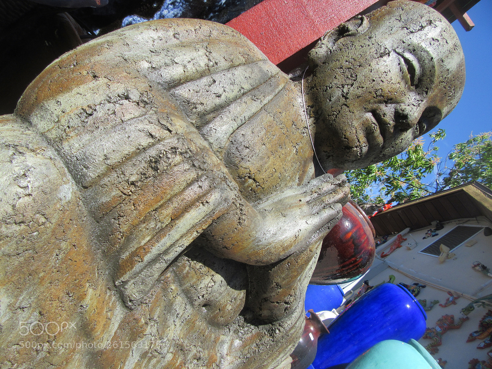 Canon PowerShot SX610 HS sample photo. Photos in bonita springs photography