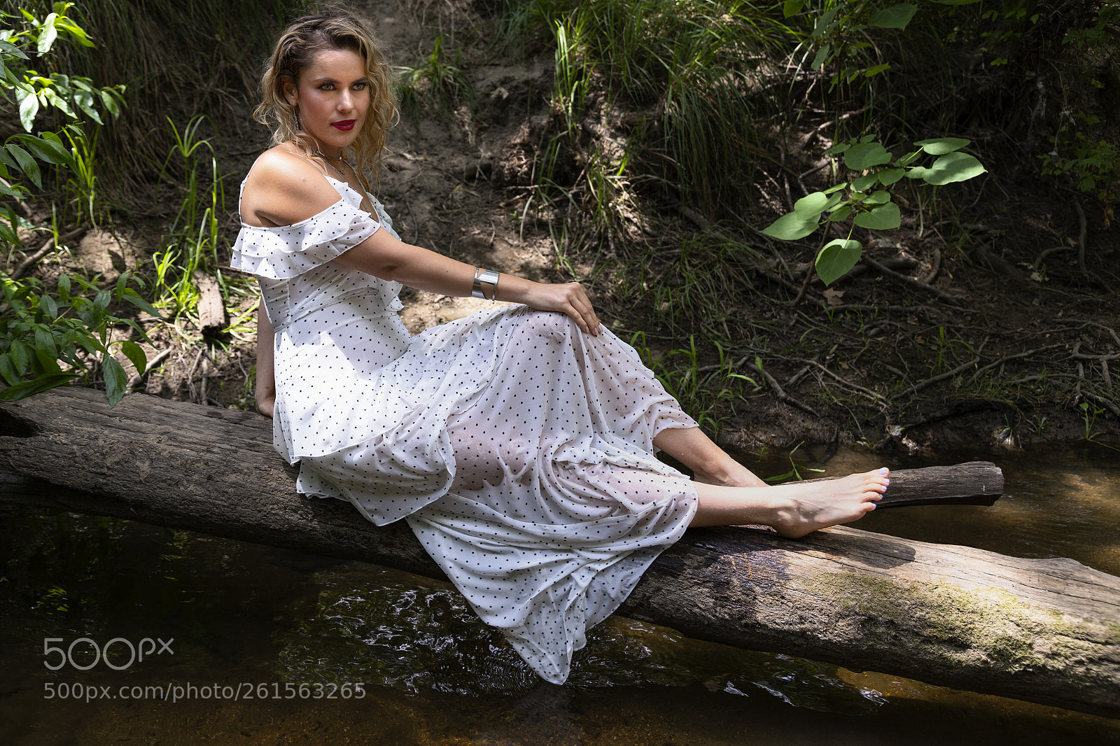Canon EOS 6D Mark II sample photo. Sitting on a log photography
