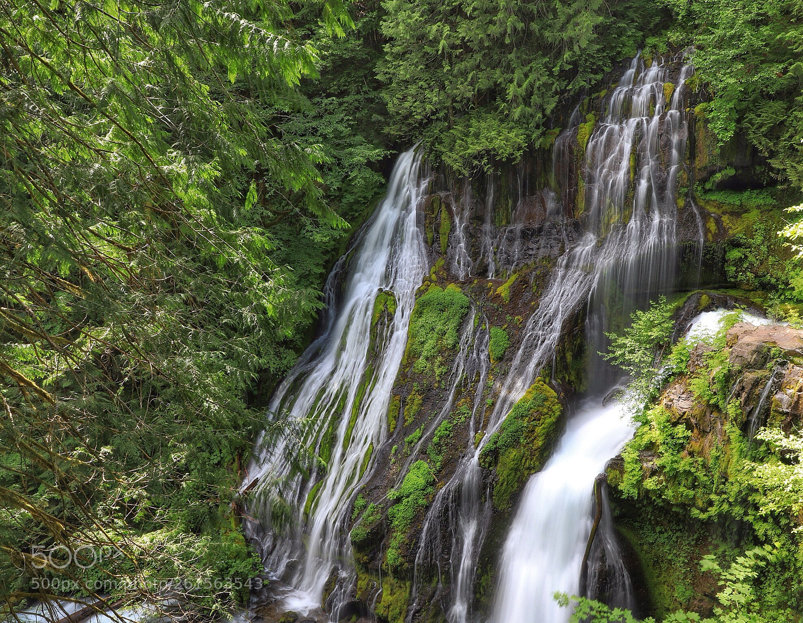 Canon EOS 5D Mark IV sample photo. Water falls & moss photography