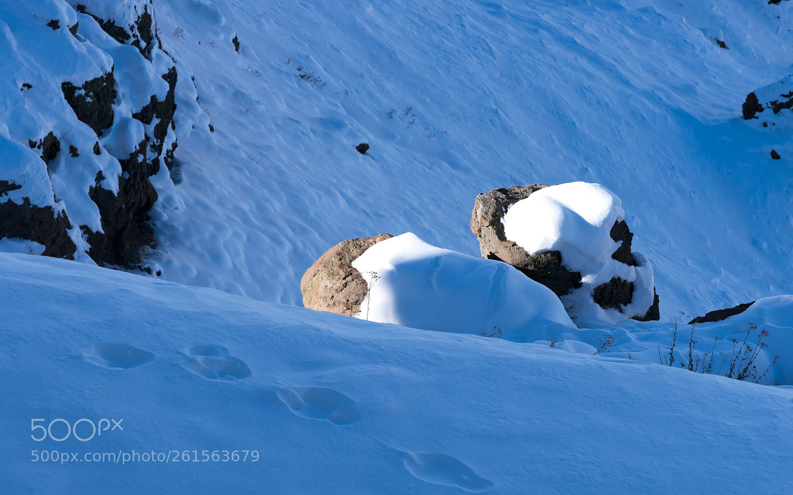 Nikon D3300 sample photo. Nieve / puntos de luz photography