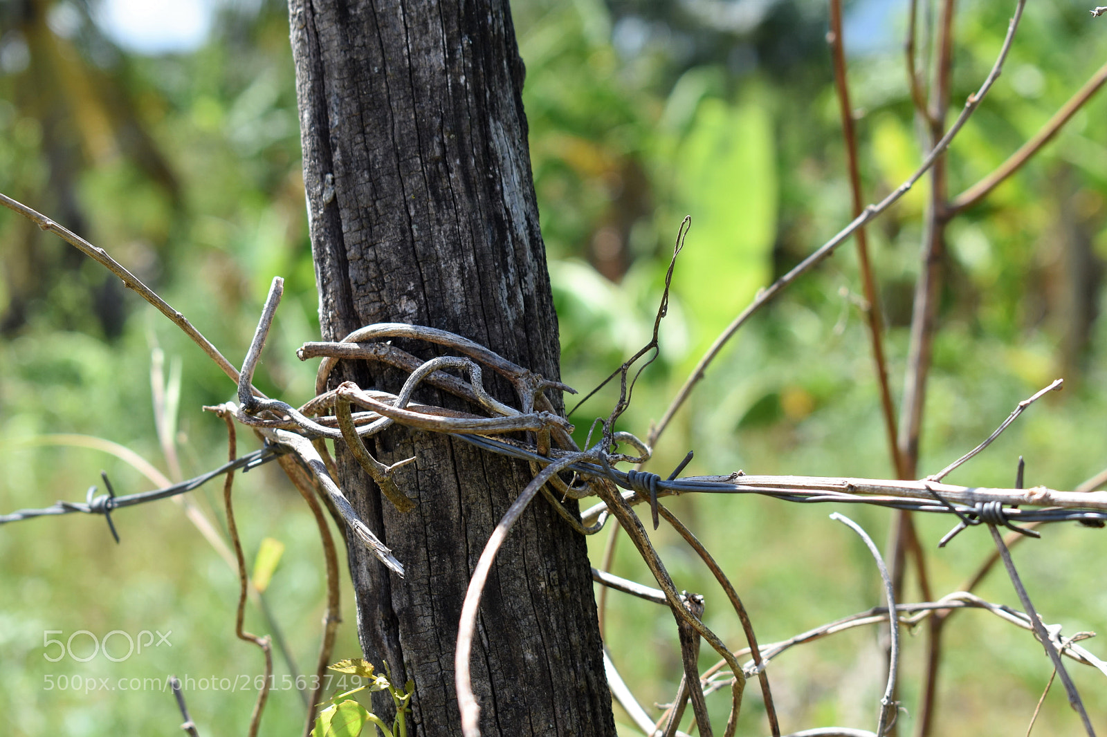 Nikon D3400 sample photo. The untitled photography
