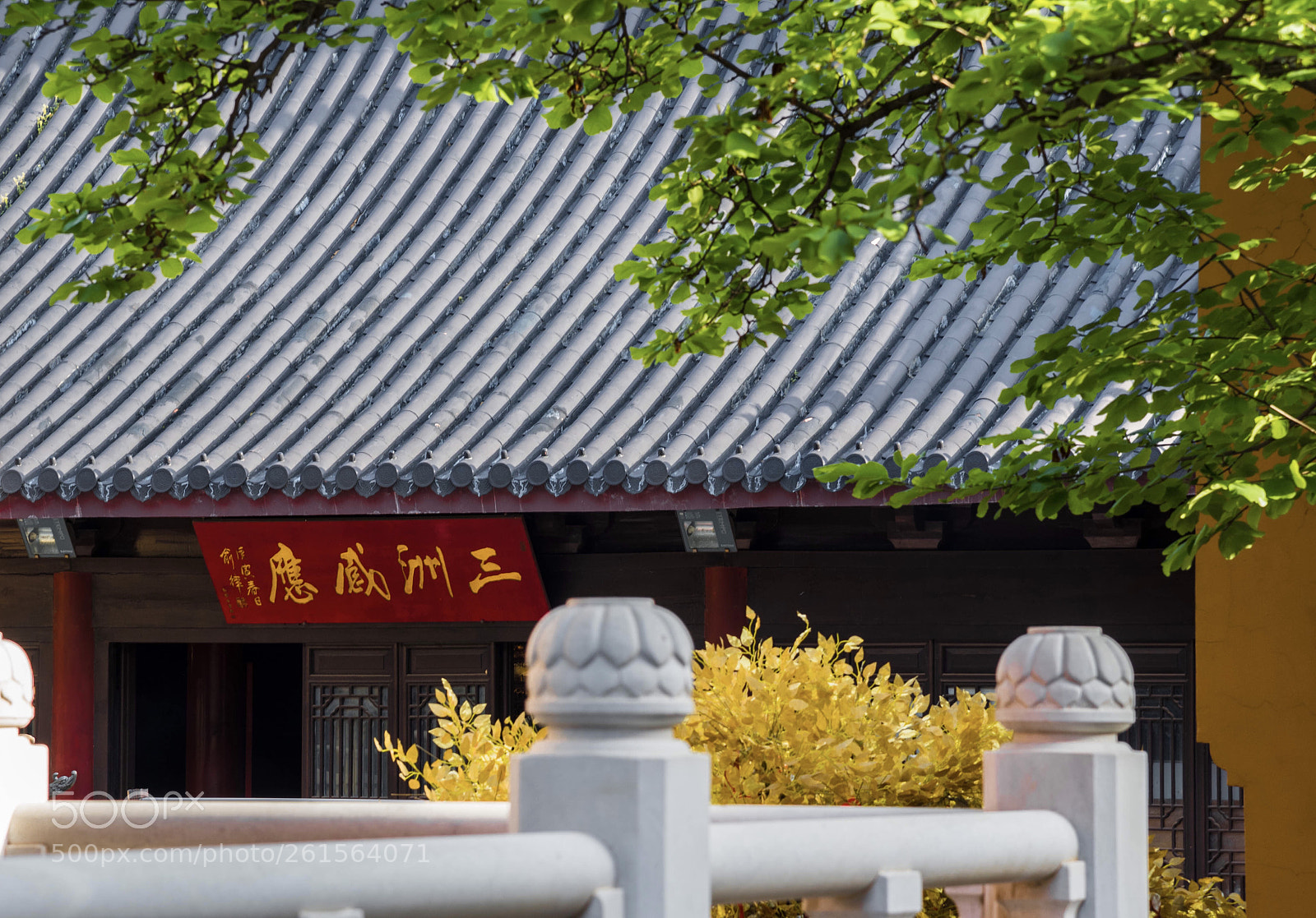 Nikon D750 sample photo. 灵谷寺 photography