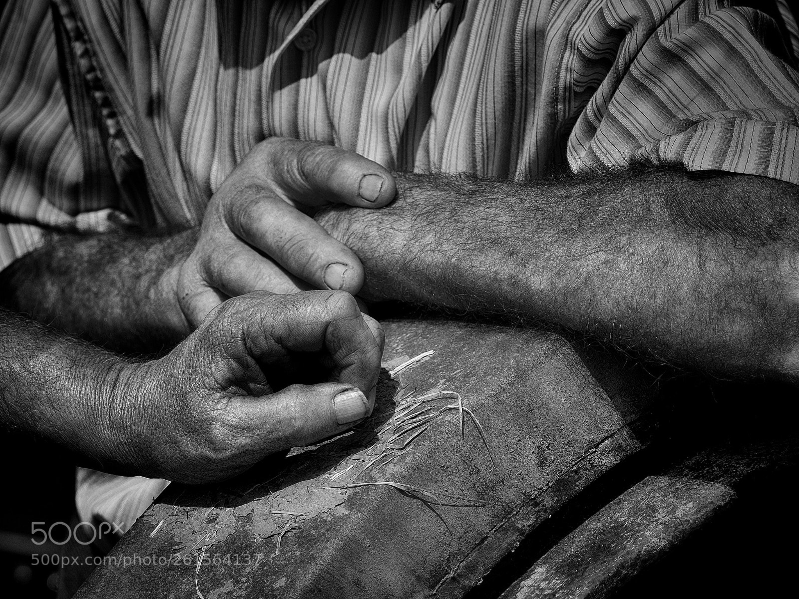 Olympus OM-D E-M5 II sample photo. Farmers photography