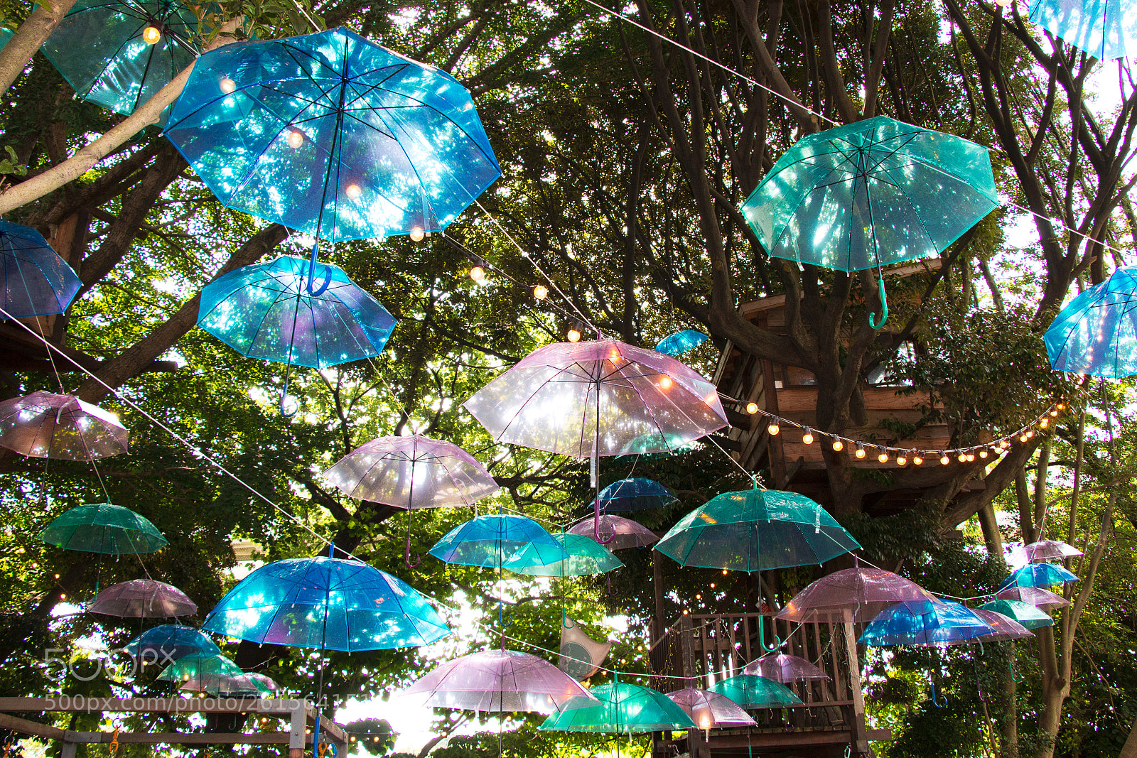 Canon EOS 70D sample photo. Treehouse cafe photography