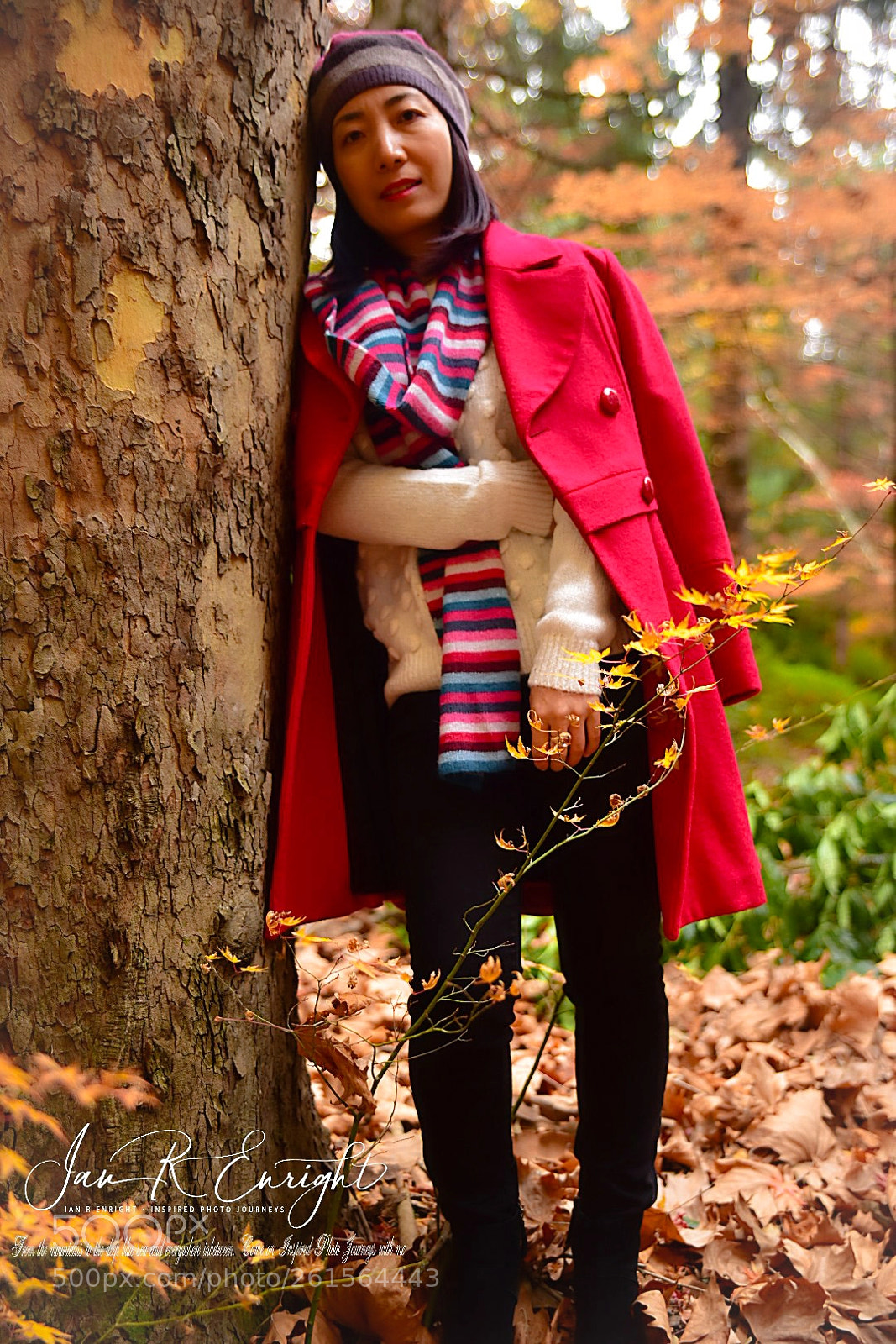 Nikon D750 sample photo. Leaning into autumn photography