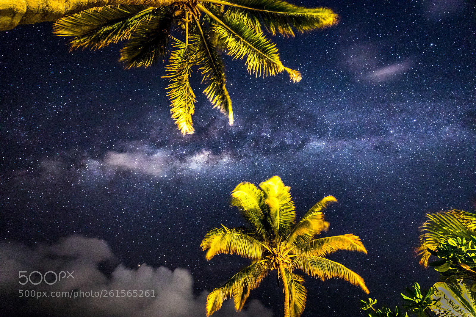 Canon EOS 5D Mark IV sample photo. Starry night in mauritius photography