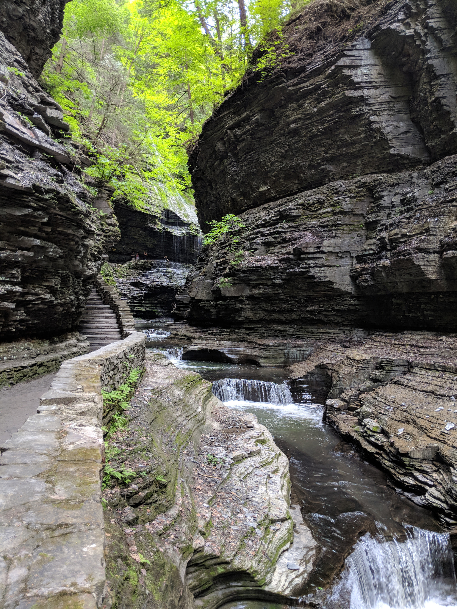 Google Pixel 2 XL sample photo. Universal beauty photography